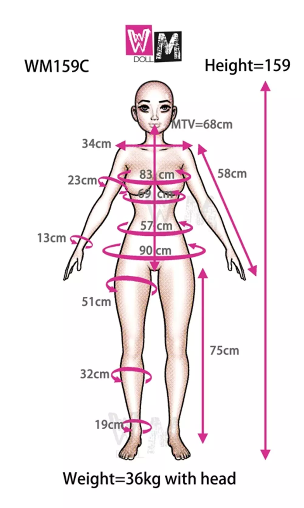 WM S-TPE 159cm (5ft2) C-cup Sex Doll In Stock (EU)