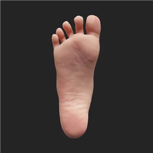 Regular Foot