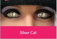 Sliver cat