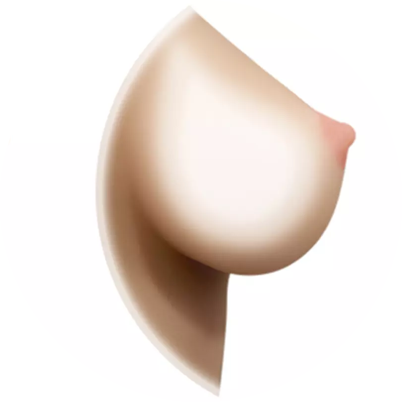 Hollow breast